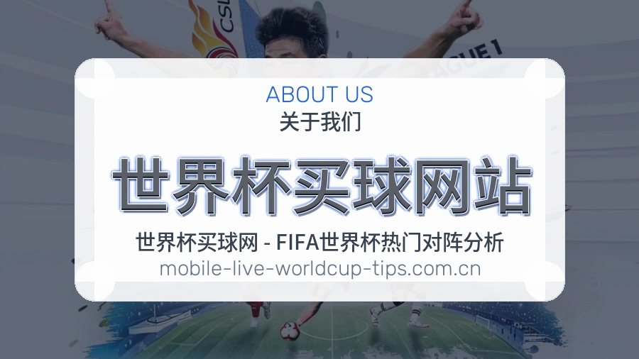  世界杯买球网站 关于我们与体育竞猜服务